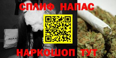 гашик Тула