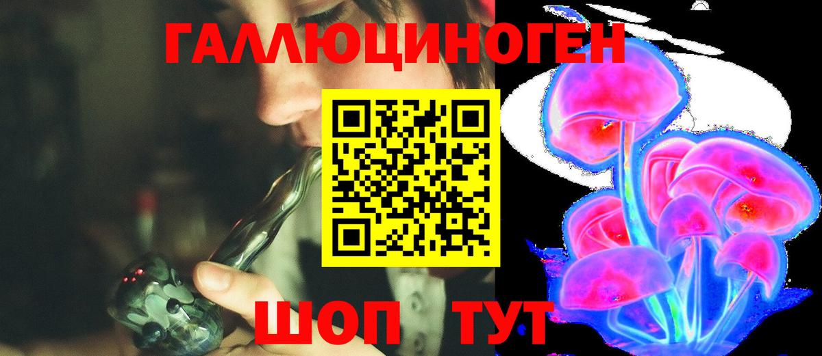 Псилоцибиновые грибы Cubensis  Псилоцибиновые грибы Psilocybine cubensis  Вход с VPN  Великий Новгород 