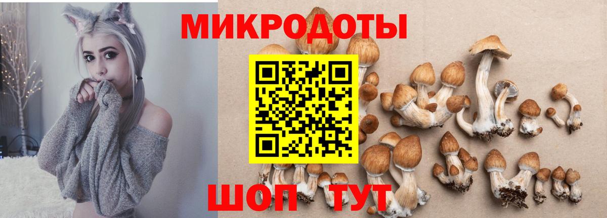 Галлюциногенные грибы прущие грибы Великий Новгород