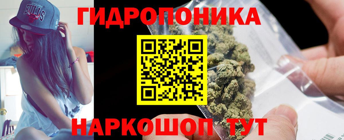 Великий Новгород  Марихуана White Widow  Вход с VPN  Шишки марихуана индика 